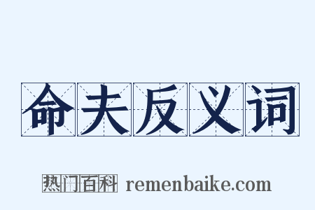 命夫反义词是什么意思的图片
